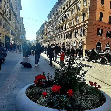 Accogliente Nel Vaticano روما